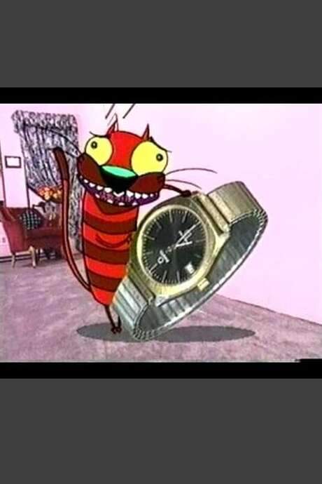 Hector the Get Over Cat